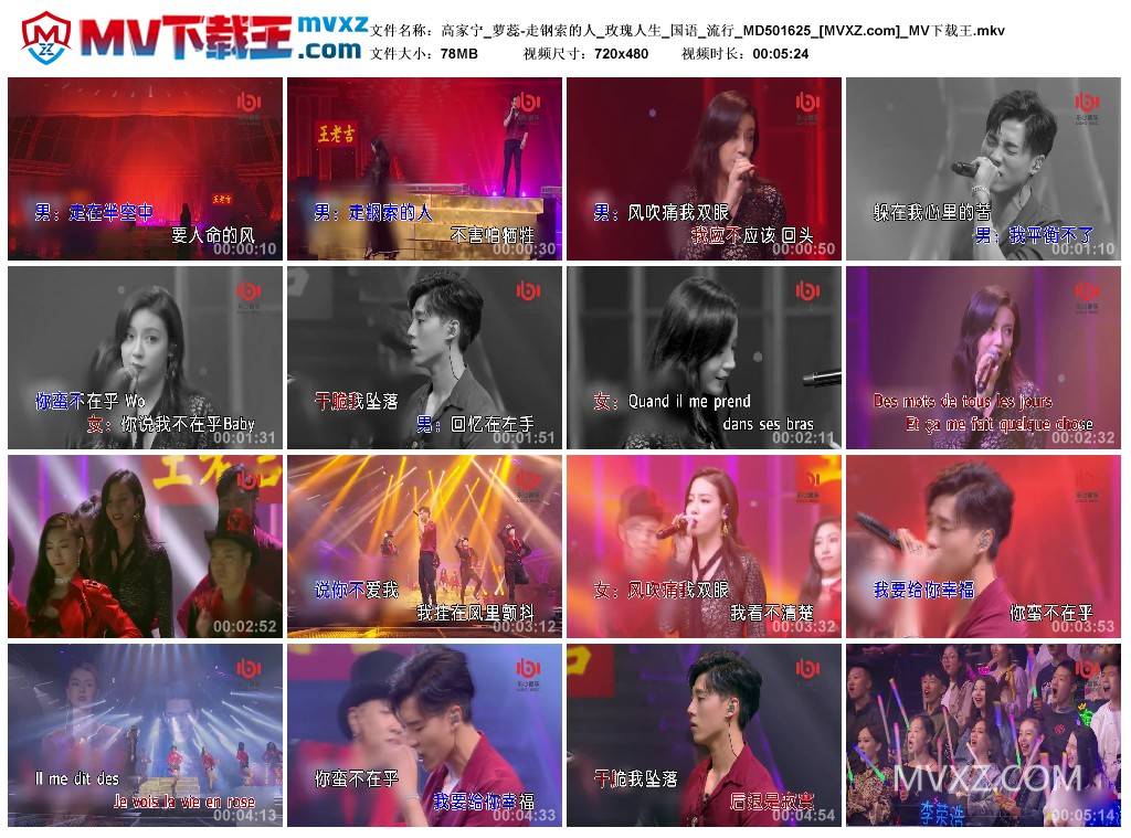 高家宁_萝蕊-走钢索的人_玫瑰人生_国语_流行_MD501625